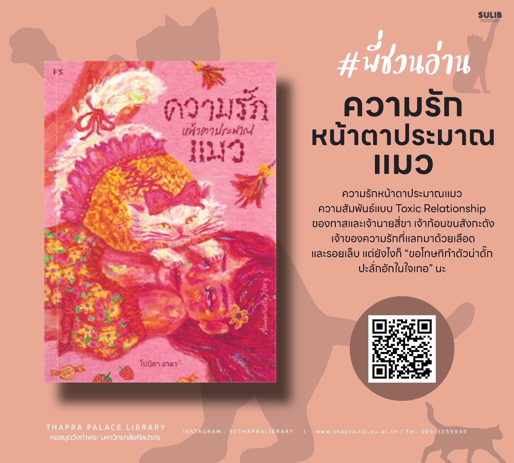 ความรักหน้าตาประมาณแมว