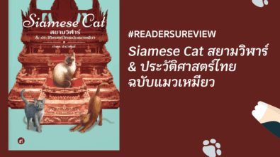 Siamese Cat - สยามวิฬา
