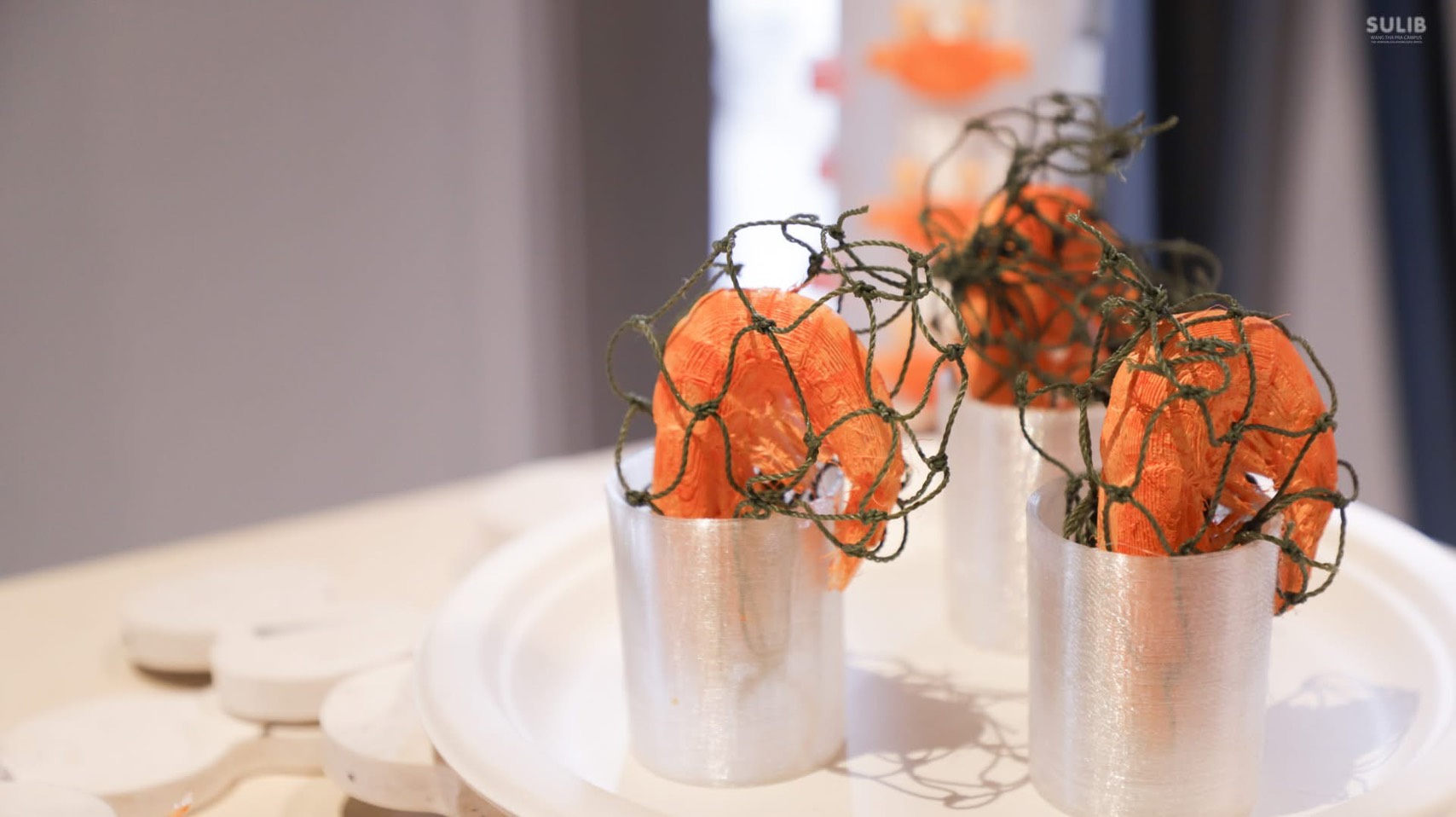 595074684_1286575413507576_2189436189106309432_n