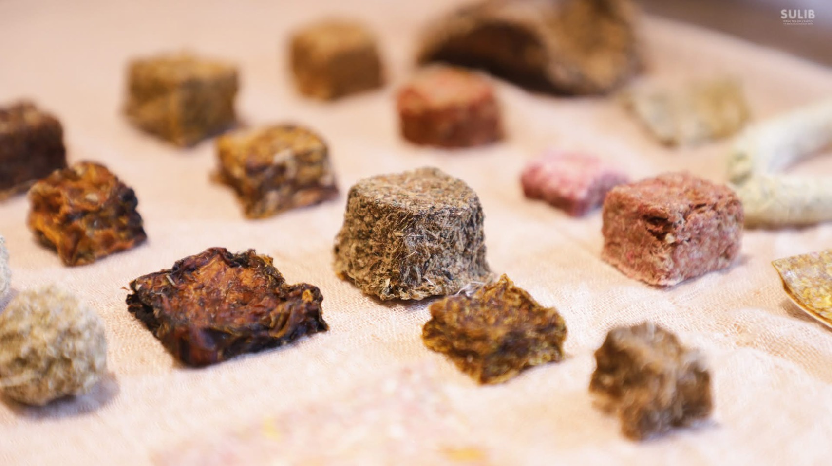 595109338_1286575420174242_7119631091154460846_n