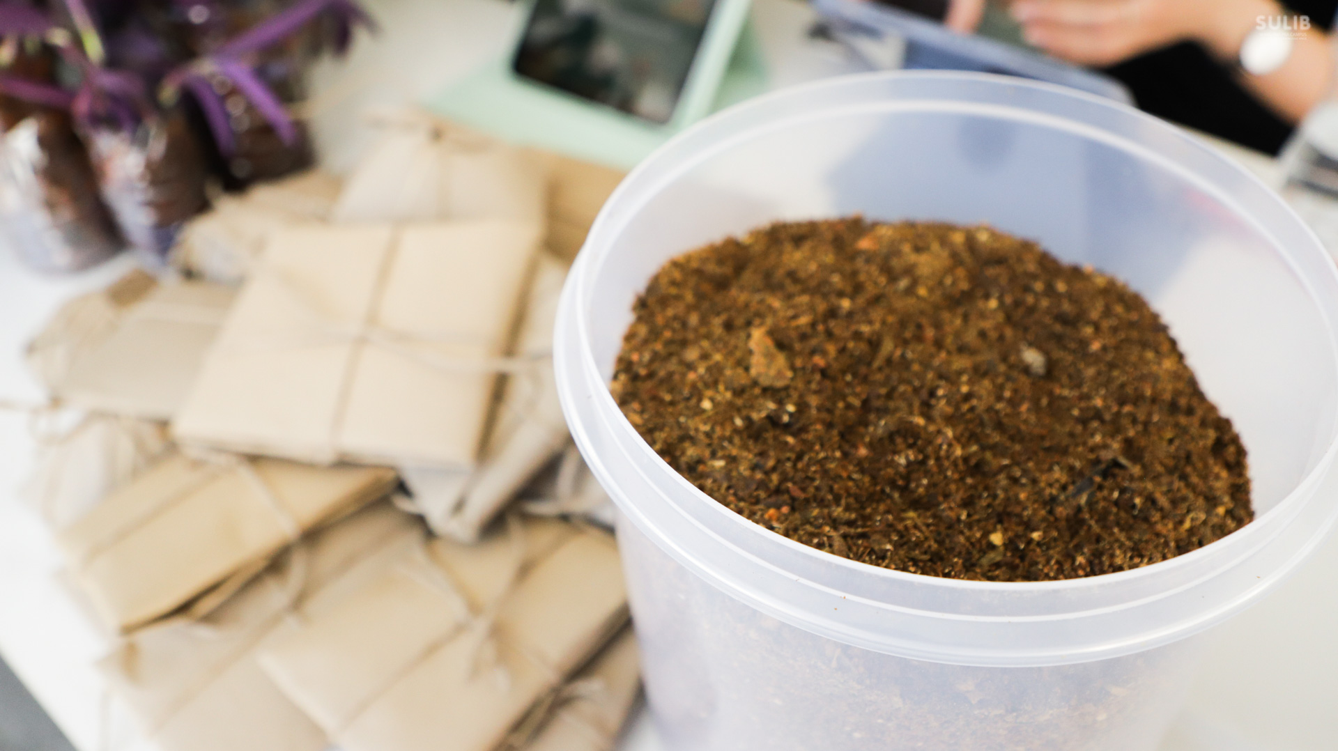 595130632_1286574923507625_7621012400342116480_n