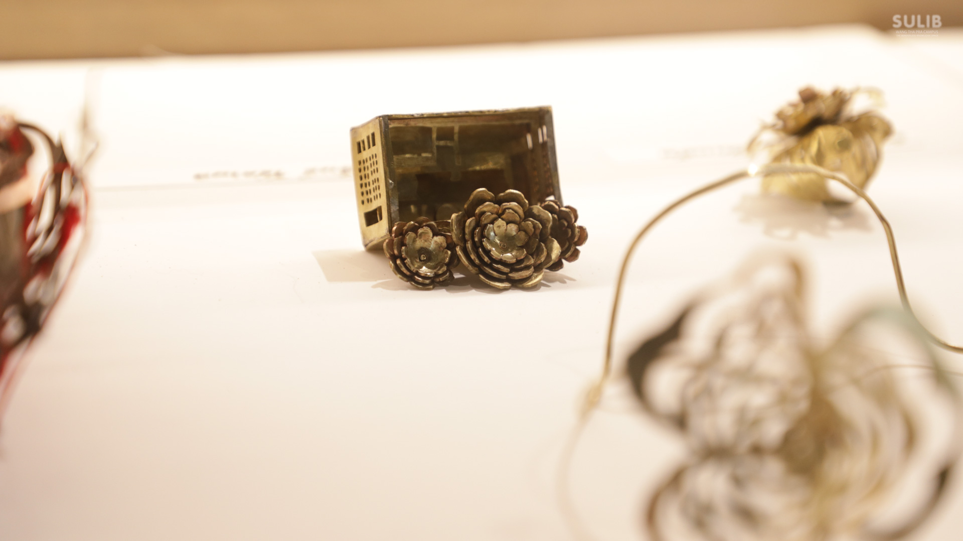 “Library on the Body”