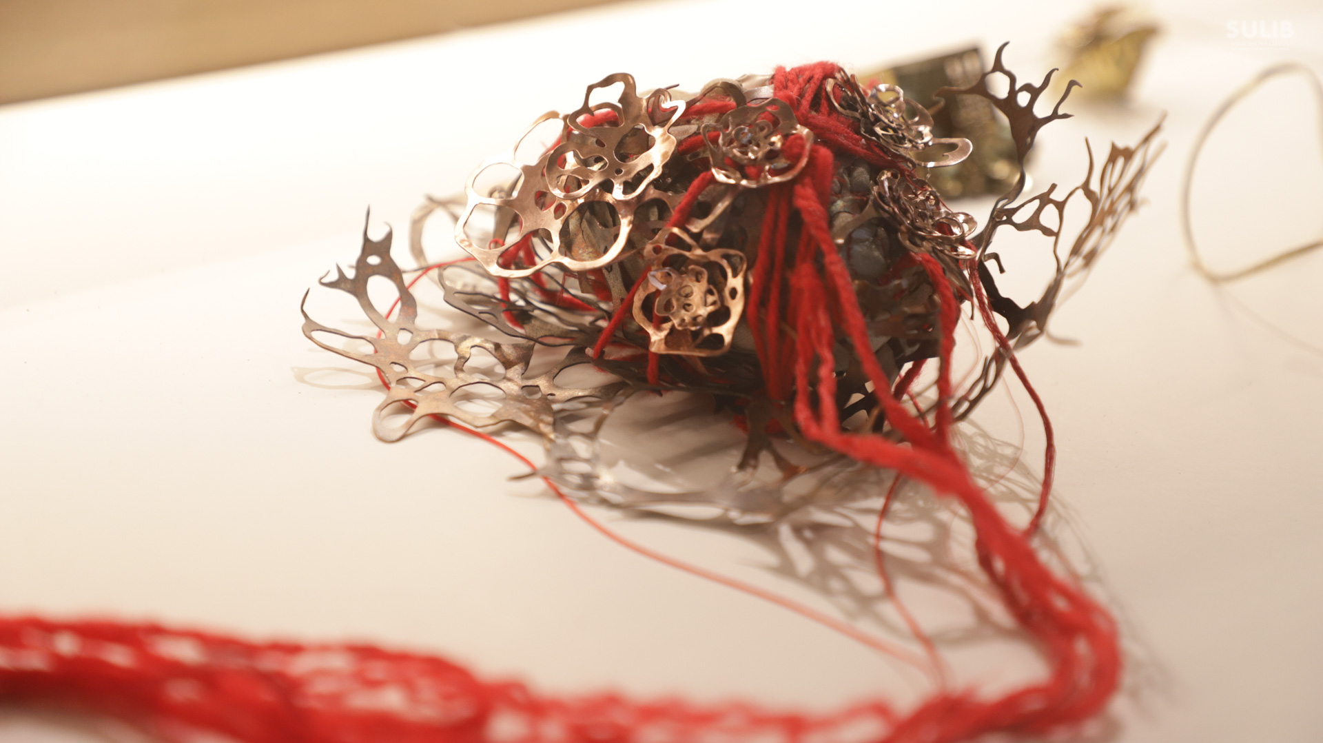 “Library on the Body”