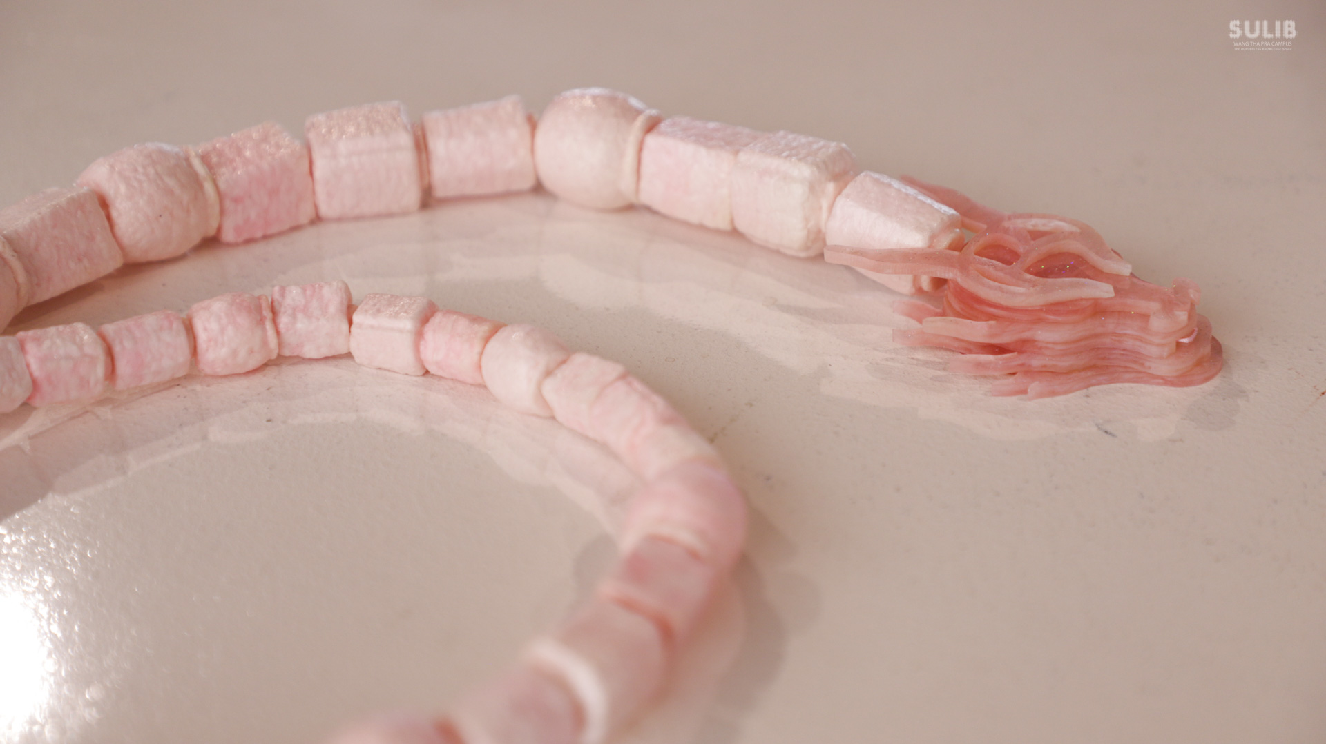 “Library on the Body”