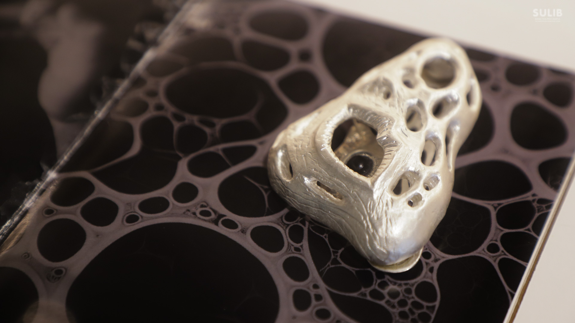 “Library on the Body”