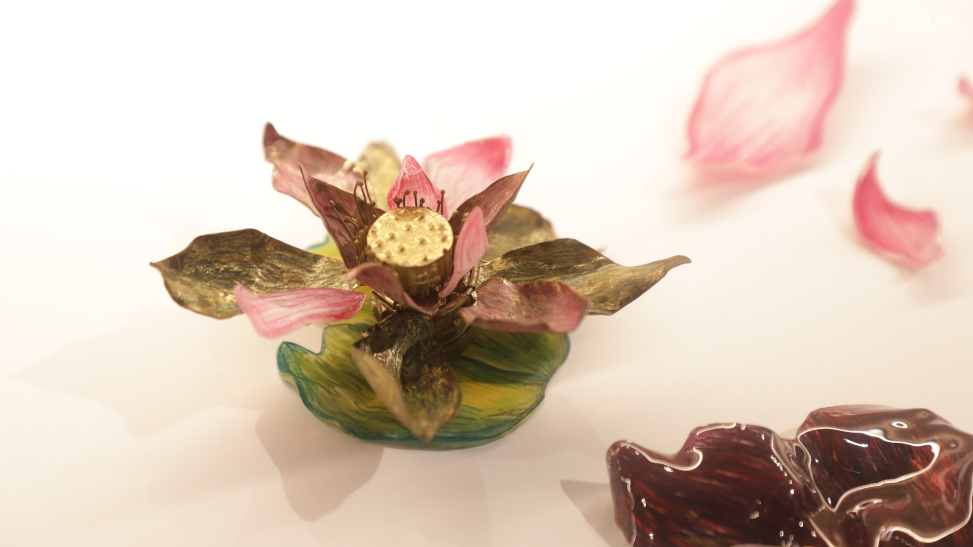 “Library on the Body”