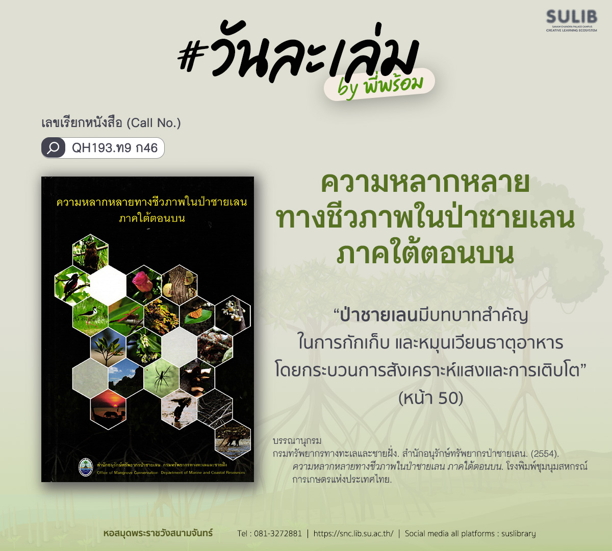 ความหลากหลายทางชีวภาพในป่าชายเลน ภาคใต้ตอนบน
