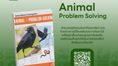 ANIMAL PROBLEM