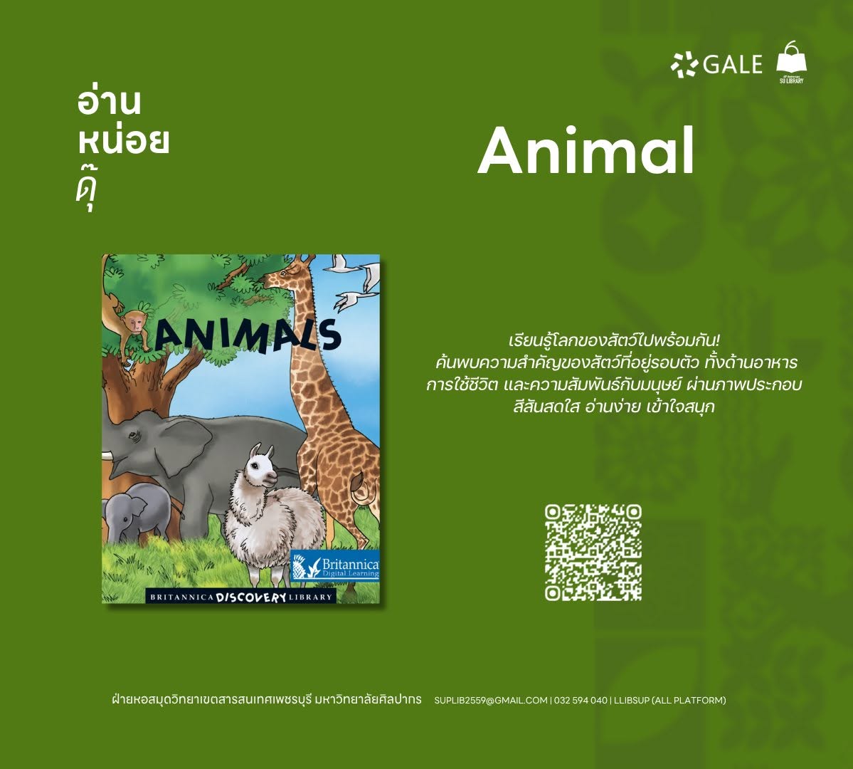 Animal
